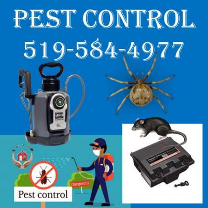 Pest Control Service 519-584-4977 for Cockroaches bedbugs rats mice